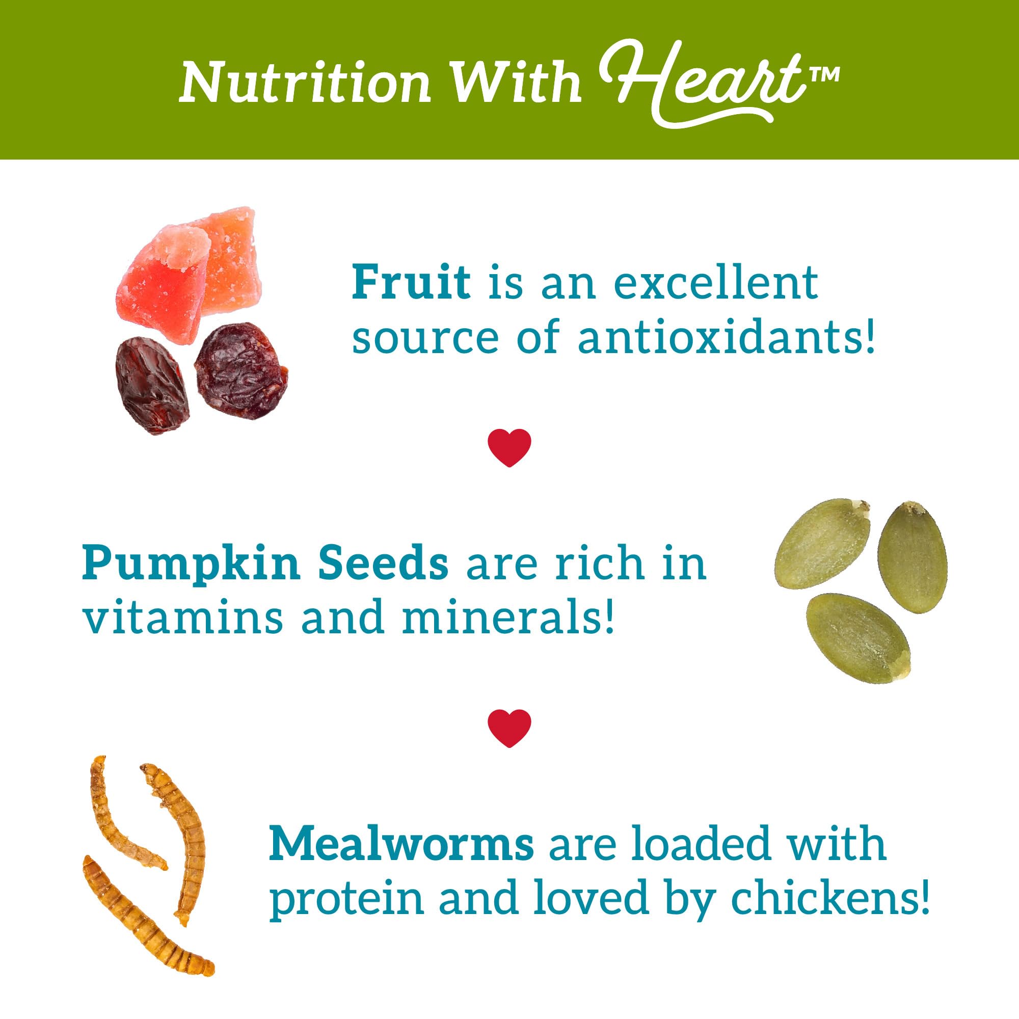 Love My Girls: Chicken Snacks - Fruit & Worms - 5lb Bag - Global Harvest, Gourmet Multi-Grain Treats, Corn-Free, Nutritious & Pr